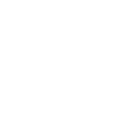 wired-outline-187-suitcase-hover-pinch-2